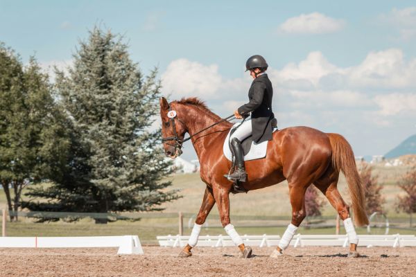 Riding Lessons